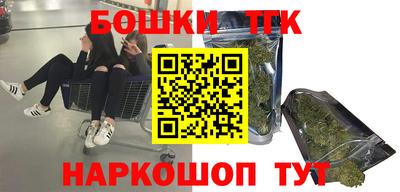 индика Братск