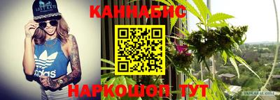 индика Братск