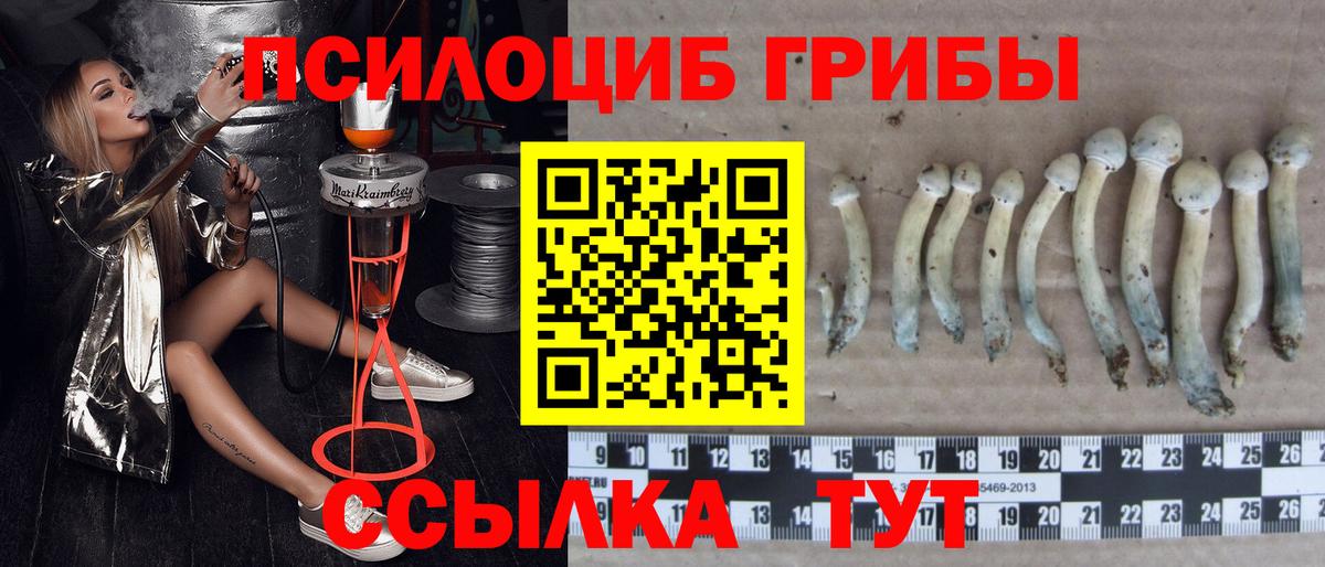 Псилоцибиновые грибы Magic Shrooms  Вход с VPN  Галлюциногенные грибы прущие грибы  Рославль 